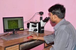 Metal Analysis with microscope and Image Analyzer